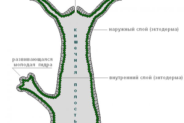 Кракен 15 ссылка