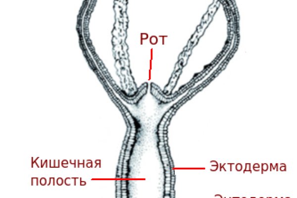 Кракен kr2connect co